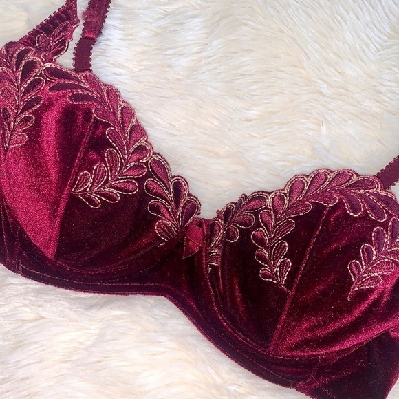 Victoria’s Secret Velvet Embroidered Bra - Picture 1 of 6